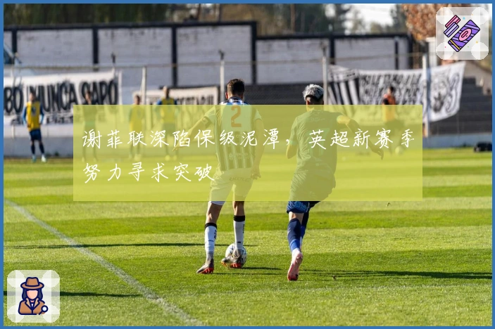 谢菲联深陷保级泥潭，英超新赛季努力寻求突破