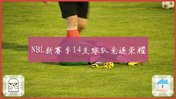 NBL新赛季14支球队竞逐荣耀